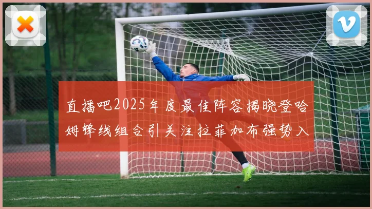 直播吧2025年度最佳阵容揭晓登哈姆锋线组合引关注拉菲加布强势入选