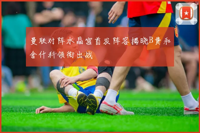 曼联对阵水晶宫首发阵容揭晓B费和舍什科领衔出战